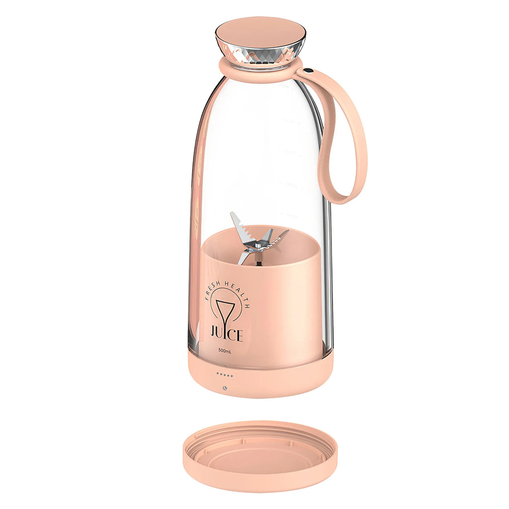 2-in-1 16.9OZ Portable Fruit Blender